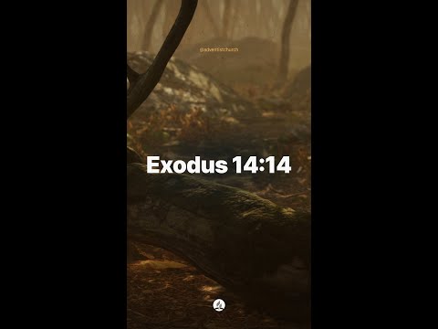 Exodus 14:14 • Bible Verse of the Day
