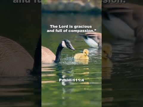When You Feel Overwhelmed, Remember His Goodness